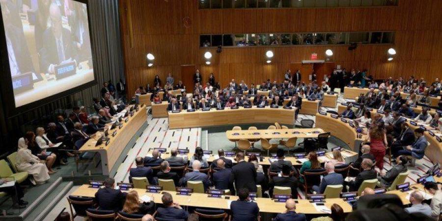 مؤتمر حل الدولتين يرفض أي تغييرات ديموغرافية في الأراضي الفلسطينية.. ويطالب بتسوية دائمة للصراع - بلس 48