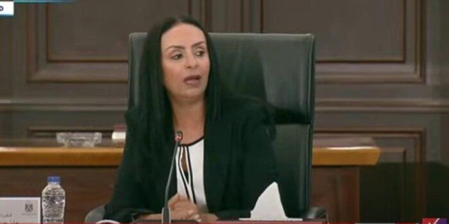 وزيرة التضامن تكشف حجم المساعدات التي قدمتها مصر لـ غزة خلال 4 أيام - بلس 48