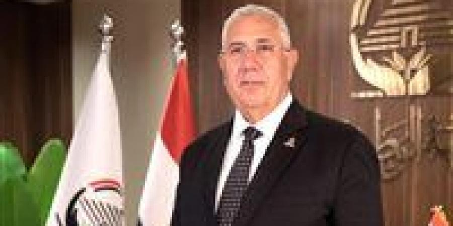 القصير: استقرار مصر مسؤولية الجميع.. والدولة تتعرض لهجوم ممنهج مدفوع الأجر - بلس 48