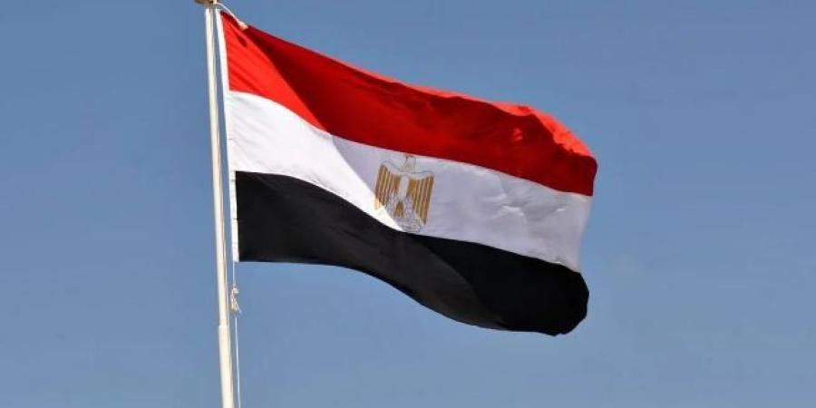 ترحيب مصري بإعلان رئيس وزراء بريطانيا اعتزام بلاده الاعتراف بالدولة الفلسطينية - بلس 48
