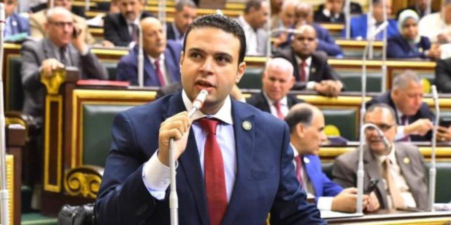 تعليقا على دعوات التظاهر أمام السفارات المصرية.. رئيس حزب العدل: ليس غريبا على الإخوان التحالف مع الشيطان من أجل مصالحها - بلس 48