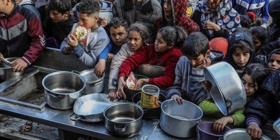 "أطباء بلا حدود": التجويع الإسرائيلى يفاقم سوء التغذية بين أطفال غزة - بلس 48