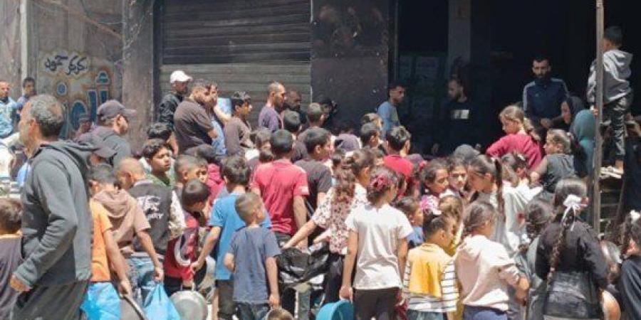 استشهاد 111 فلسطينيا بينهم 91 من طالبي المساعدات في مجزرة ارتكبها الاحتلال شمالي غزة - بلس 48