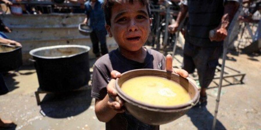 «أطباء بلا حدود»: التجويع الإسرائيلي يفاقم سوء التغذية بين أطفال غزة - بلس 48