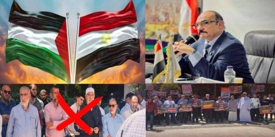 أستاذ علوم سياسية: تظاهرات «الإخوان الإرهابية» أمام سفارة مصر في تل أبيب خيانة صريحة واصطفافا مفضوحا مع العدو - بلس 48