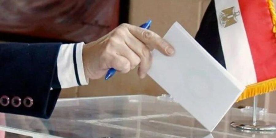 أحزاب سياسية: المشاركة في انتخابات «الشيوخ» واجب وطني ورسالة دعم لـ مؤسسات الدولة - بلس 48