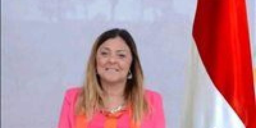 المشرف على المجلس القومي لذوي الإعاقة تتابع مناقشة المسودة الأولية من الاستراتيجية الوطنية للإعاقة - بلس 48