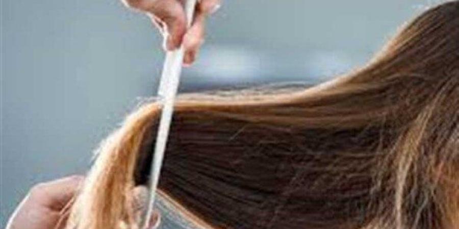 تفسير رؤيا قص شعر الرأس في المنام لـ ابن سيرين.. تغييرات داخلية أو خارجية - بلس 48