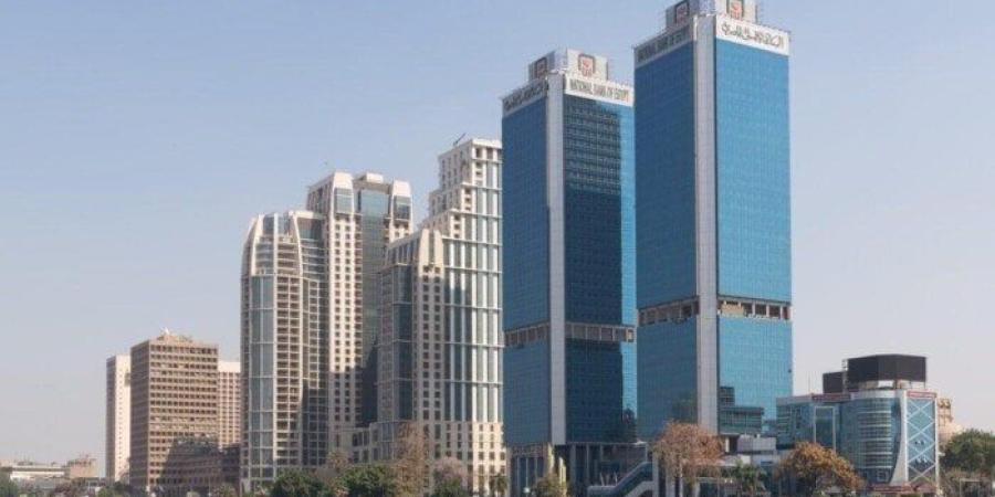 البنك الأهلي المصري يتيح فتح الوديعة عبر تطبيق الموبايل بآجال متنوعة - بلس 48