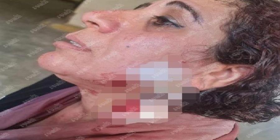حبس زوج طعن زوجته داخل محكمة الأسرة بالدخيلة في الإسكندرية - بلس 48