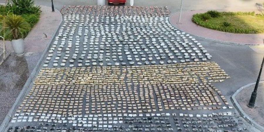 «بحوزتهما مخدرات بـ 310 ملايين جنيه».. ضبط عنصرين شديدي الخطورة في الإسماعيلية - بلس 48