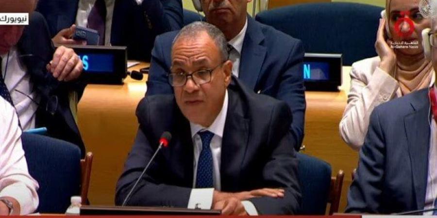 وزير الخارجية يؤكد الحرص على مواصلة التشاور والتنسيق مع الولايات المتحدة - بلس 48
