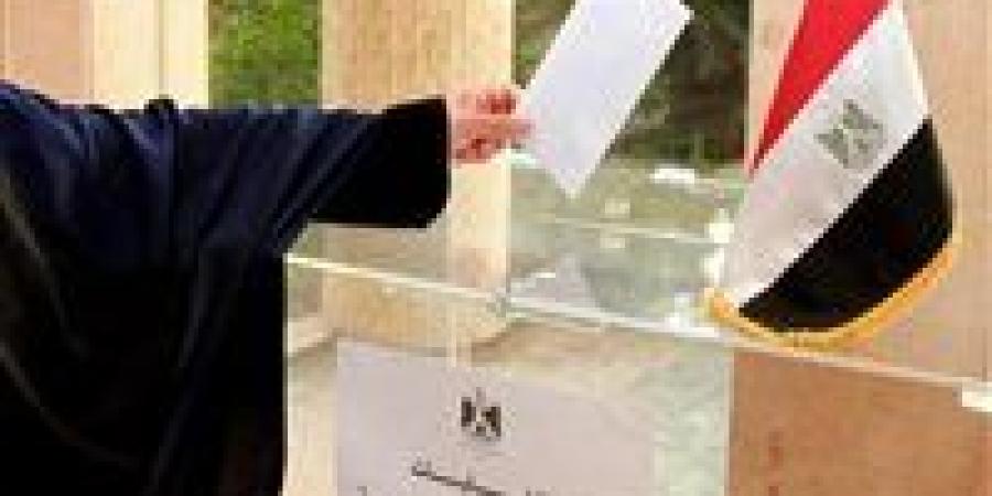 سفارة مصر في أستراليا تفتح لجان الاقتراع للمصريين للتصويت بانتخابات مجلس الشيوخ - بلس 48