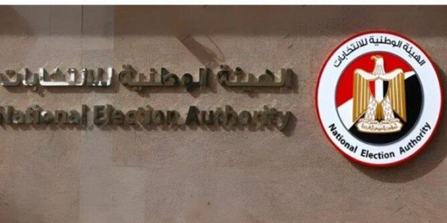 انتخابات الشيوخ 2025.. سفير مصر بأثيوبيا: التصويت فى أديس أبابا يسير بشكل جيد - بلس 48