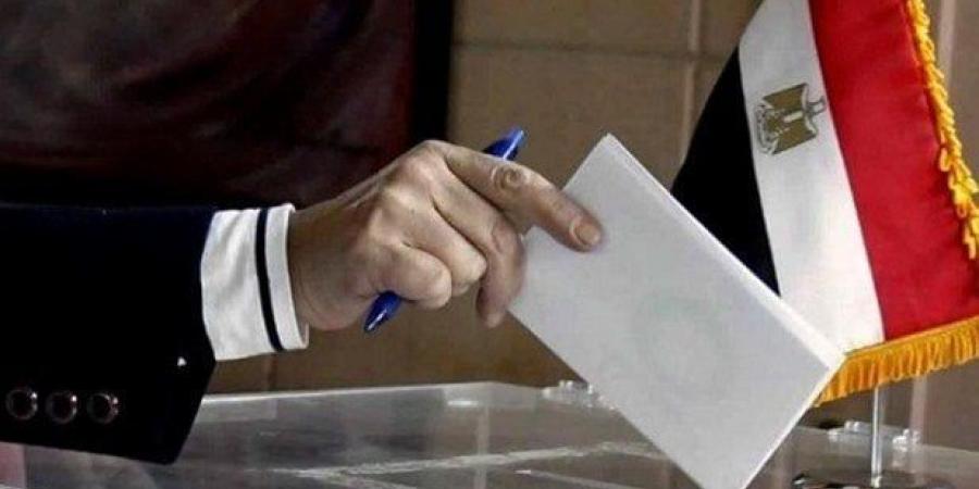 انتخابات مجلس الشيوخ 2025.. بدء تصويت المصريين في روسيا - بلس 48