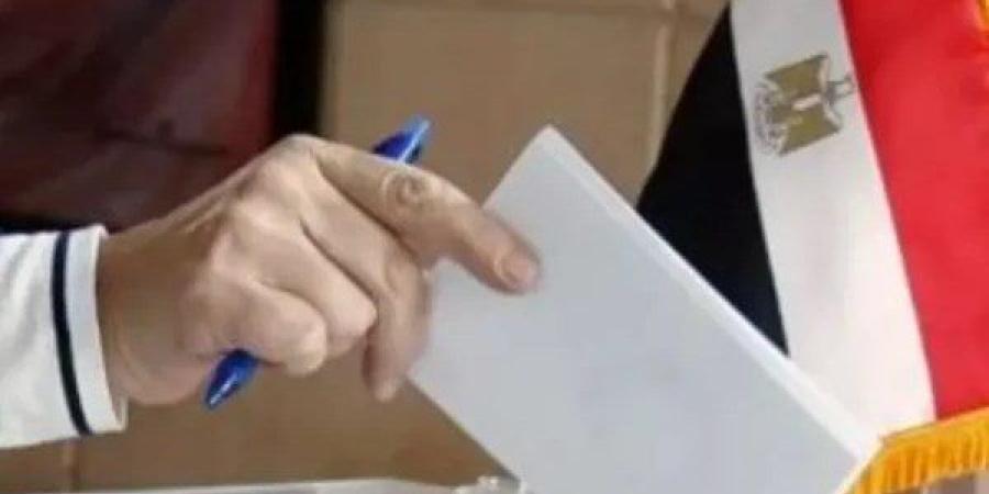 انتخابات مجلس الشيوخ 2025.. تجهيز 136 لجنة لاستقبال المصريين بالخارج - بلس 48