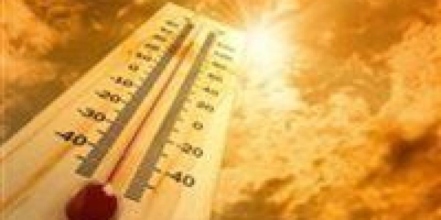 بـ30 جنيهًا فقط.. وسادة "سحرية" تنقذك من جحيم الصيف دون تكييف - بلس 48