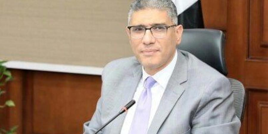 محافظة الجيزة تُنهي استعداداتها لانتخابات مجلس الشيوخ ٢٠٢٥ - بلس 48