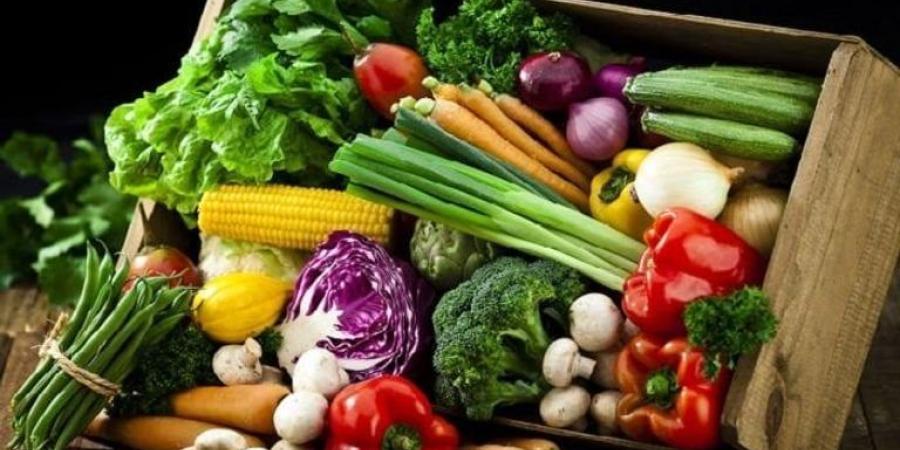 المانجا الزبدية بـ 30 جنيها.. أسعار الفاكهة والخضروات اليوم الجمعة 1 أغسطس 2025 - بلس 48