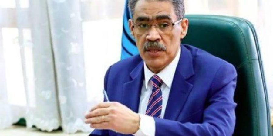 هيئة الاستعلامات: 86 مؤسسة إعلامية عربية وعالمية تشارك في تغطية انتخابات الشيوخ - بلس 48