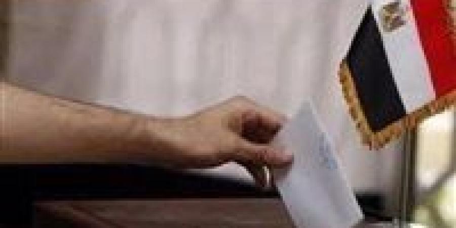 بدء التصويت بسفارات مصر بالسويد والنمسا وسويسرا في انتخابات مجلس الشيوخ - بلس 48