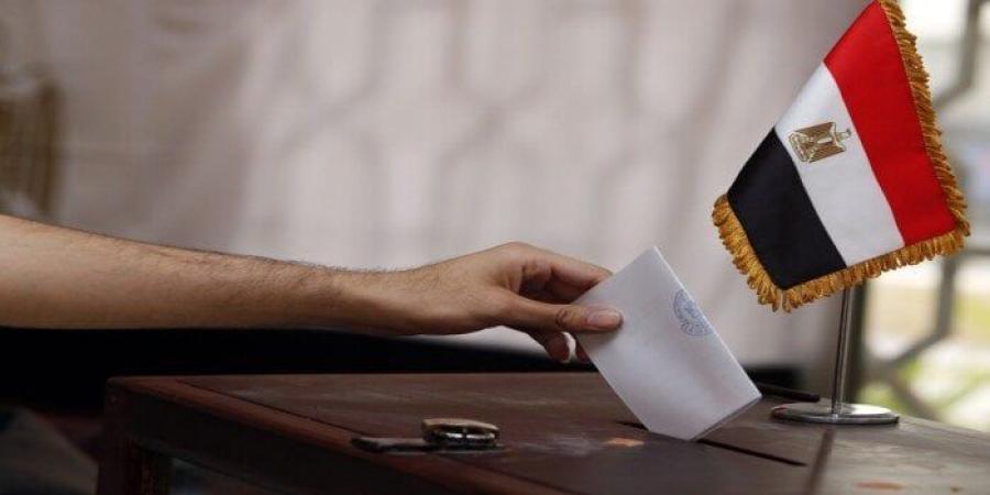 في اليوم الثاني.. المصريون في كوريا الجنوبية يواصلون التصويت في انتخابات مجلس الشيوخ 2025 - بلس 48