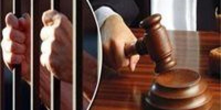 السجن المشدد 15 عامًا لعاطلين احتجزا شابًا وصوراه في أوضاع مخلة بالقليوبية - بلس 48