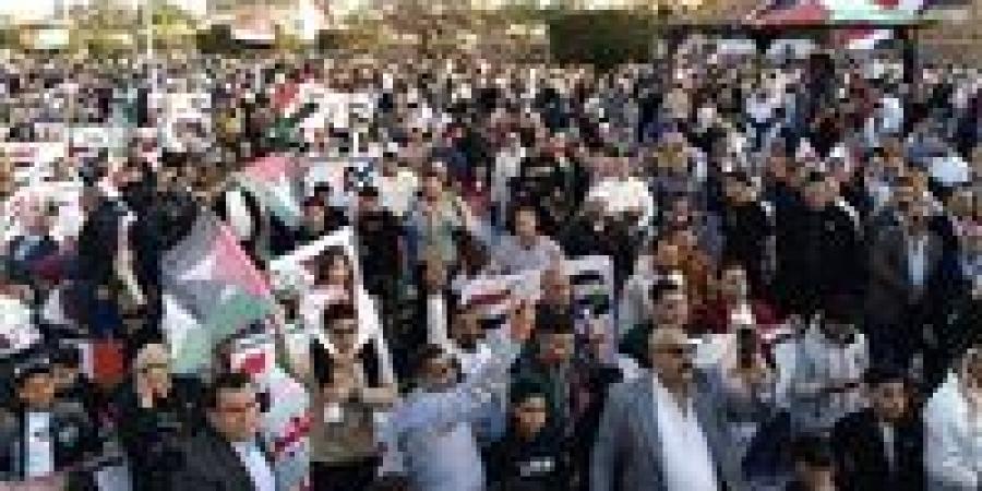 العكاري:  مصر الدولة الوحيدة في العالم التي لم تنسحب من دعم القضية الفلسطينية - بلس 48