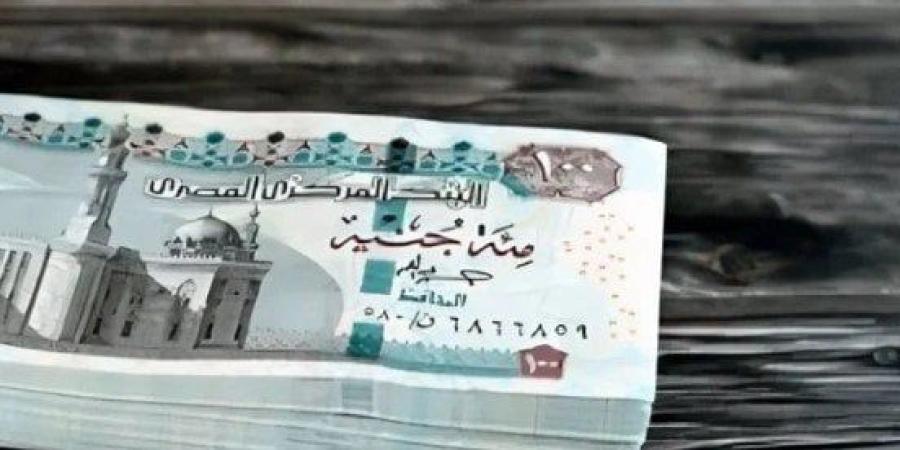 موعد صرف مرتبات شهر أغسطس 2025 وجدول الحد الأدنى للأجور - بلس 48