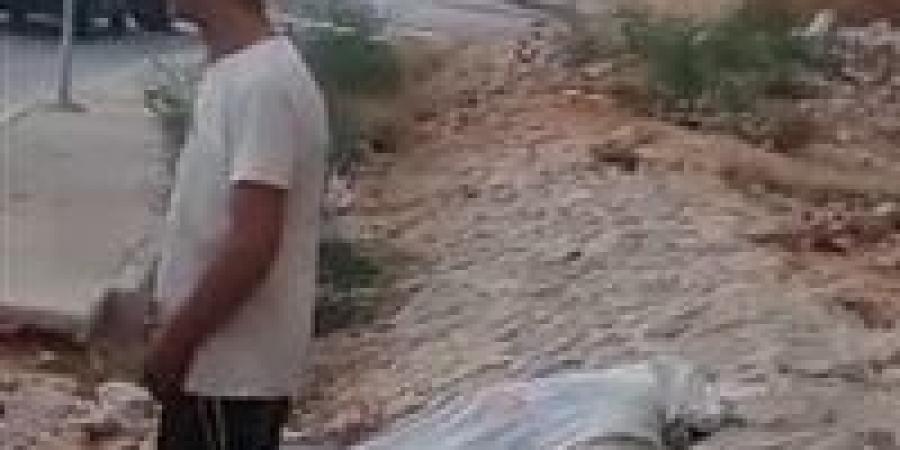 وفاة طالب ثانوي في حادث دراجة نارية مروع بمنطقة دلة في الفيوم - بلس 48
