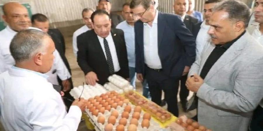 وزير الزراعة ومحافظ الشرقية يتفقدان مشروع الصالحية الزراعي المتكامل - بلس 48