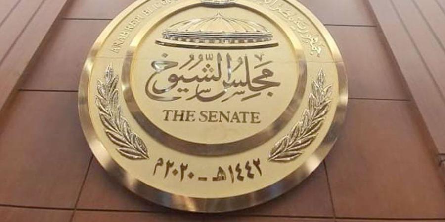 "يُسهم في خطة مصر".. مجلس الشيوخ مش مجرد استحقاق انتخابي - بلس 48