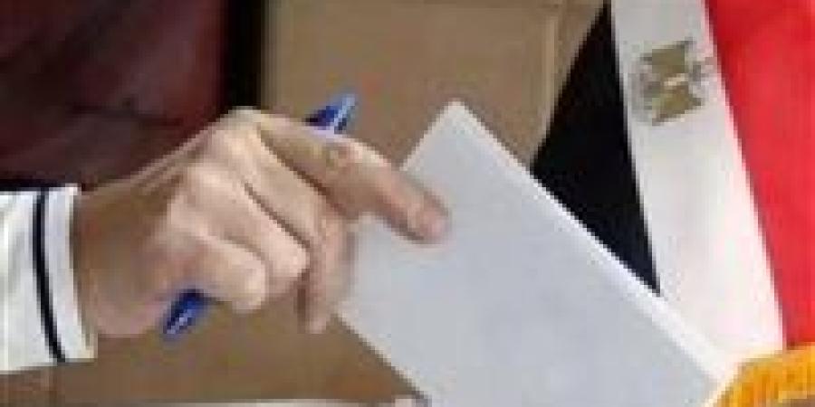 غلق باب التصويت باليوم الثاني والأخير لانتخابات مجلس الشيوخ للمصريين المقيمين في آخر لجنتين بلوس أنجلوس وكاليفورنيا - بلس 48