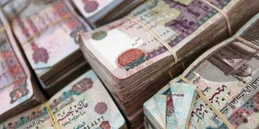 موعد صرف مرتبات شهر أغسطس 2025 للقطاع العام والخاص - بلس 48