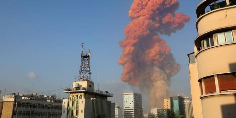 في الذكرى الخامسة لانفجار مرفأ بيروت.. وزير الزراعة: نزرع شجرة زيتون باسم كل ضحية - بلس 48