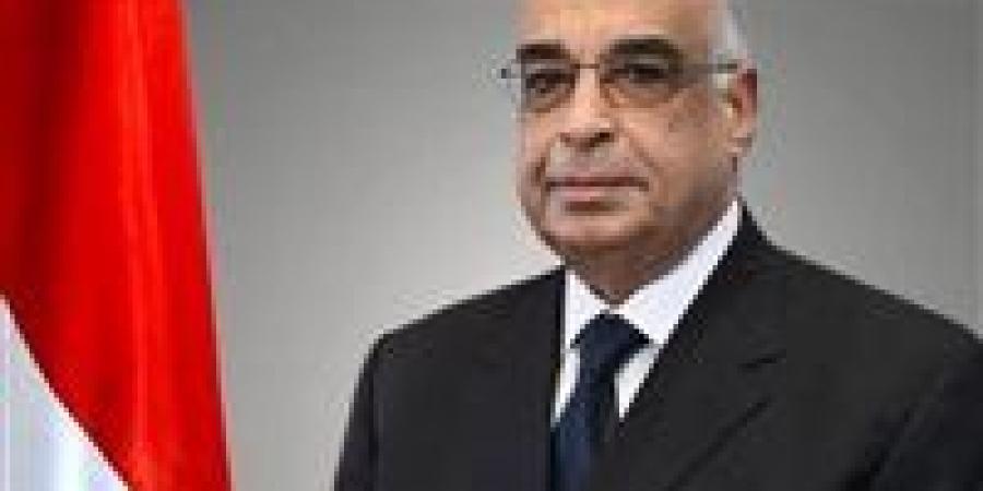 الجريدة الرسمية تنشر قرارًا بشأن منح عاملين بوزارة الموارد المائية والري صفة مأموري الضبط القضائي - بلس 48