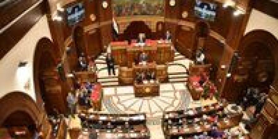 بالموبايل.. كيفية الاستعلام عن لجنة الانتخابات في مجلس الشيوخ - بلس 48