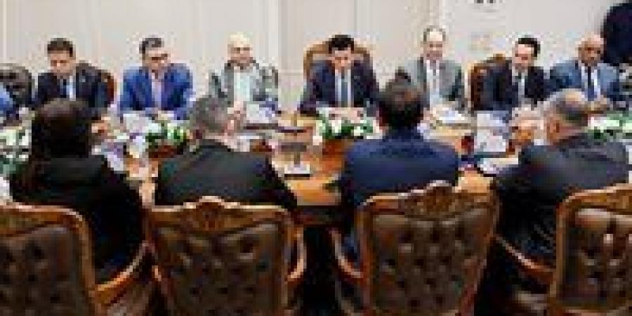 وزير الشباب والرياضة يلتقي رئيس جهاز مستقبل مصر للتنمية المستدامة لبحث آليات التعاون المشترك - بلس 48