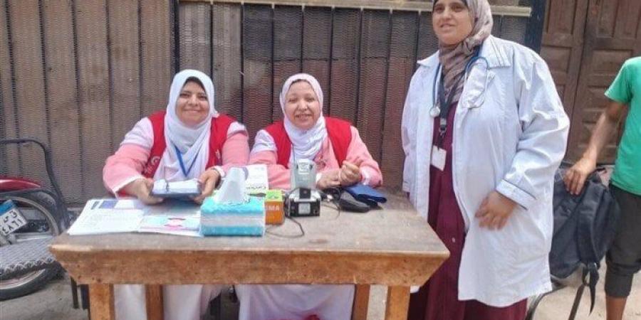فرق طبية بمحيط اللجان الانتخابية بالقليوبية للتعامل الفورى مع اى حالة طارئة - بلس 48
