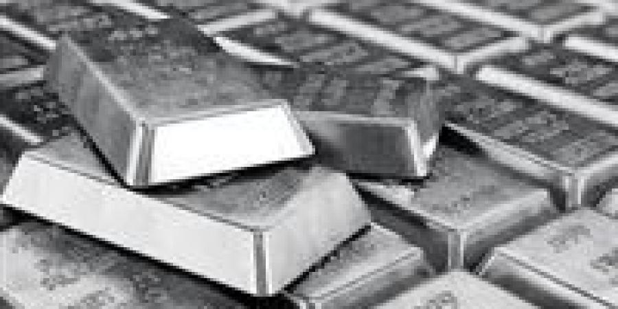 بـ51 جنية..أسعار الفضة اليوم الإثنين 4 أغسطس 2025 - بلس 48