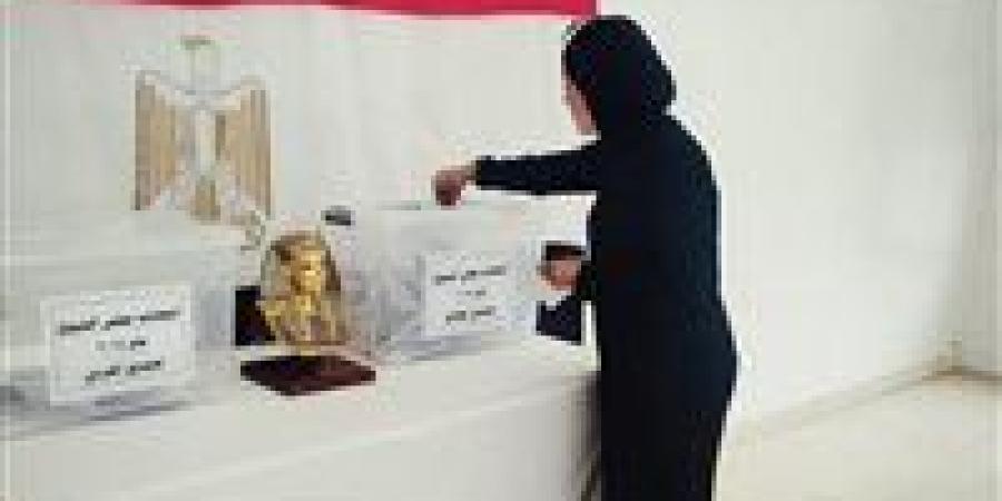 بعد قليل..انطلاق التصويت بانتخابات مجلس الشيوخ 2025 - بلس 48