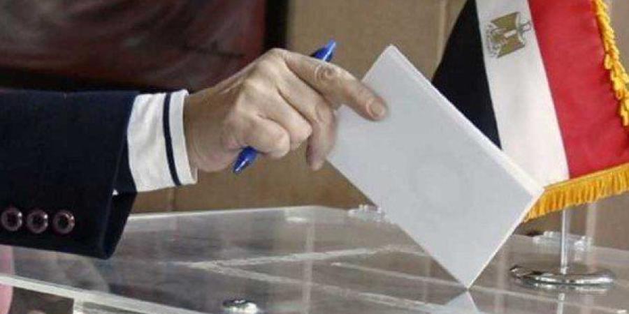 مصر.. الهيئة الوطنية للانتخابات: إقبال ملحوظ في أول أيام انتخابات "مجلس الشيوخ" - بلس 48