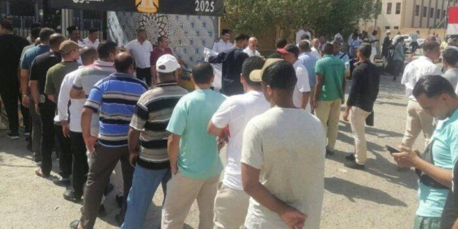 توافد عدد كبير من المواطنين بمرسى علم للإدلاء بأصواتهم في انتخابات الشيوخ 2025 - بلس 48