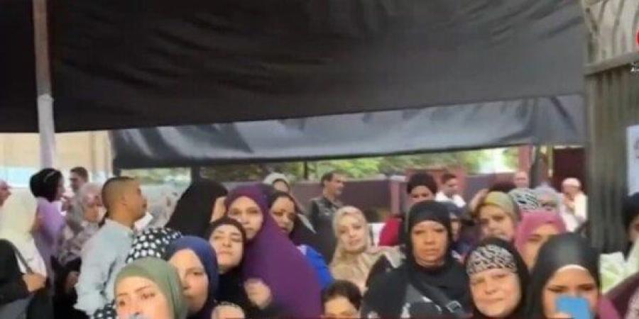 القاهرة الإخبارية: «مشاركة لافتة في اليوم الأول لانتخابات مجلس الشيوخ بالجيزة» - بلس 48