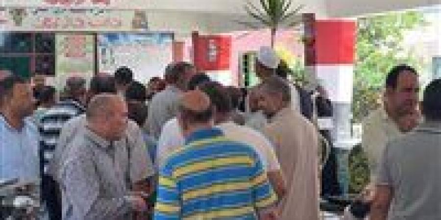 مشاركة حاشدة في كفر الشيخ بانتخابات مجلس الشيوخ.. بث مباشر - بلس 48