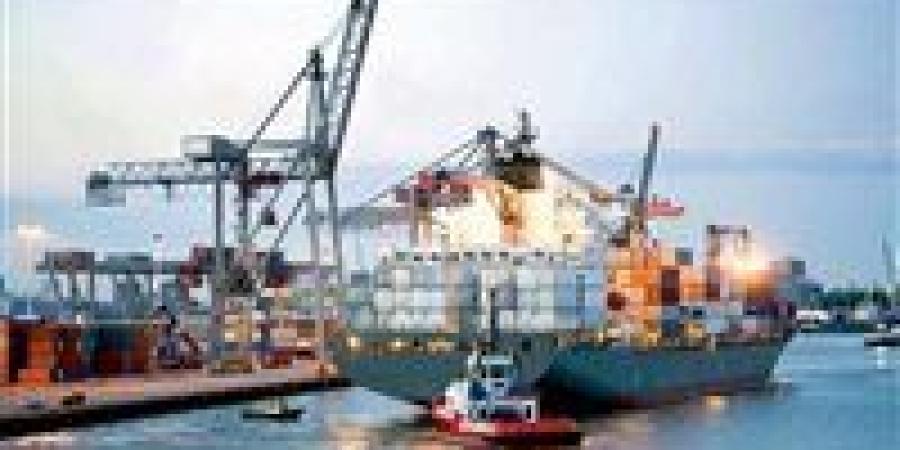 الصادرات الصناعية المصرية تتجاوز 17.6 مليار دولار.. هل تستمر الوتيرة؟ - بلس 48