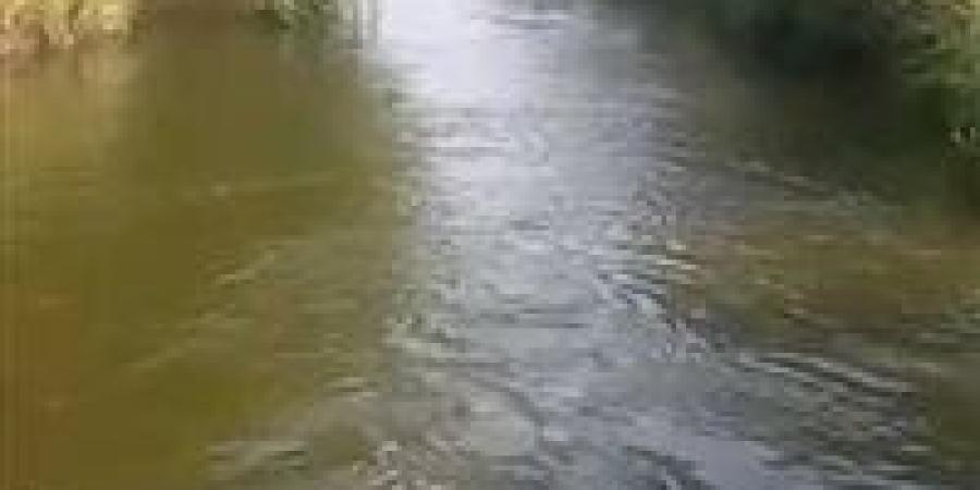 سقوط مأساوي ببحر الفيوم.. وفاة طفلة وإصابة أخرى أثناء غسل الأواني - بلس 48