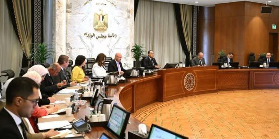 رئيس الوزراء يتابع مُستجدات آلية تعديل حدود الكربون لتعزيز تنافسية الصادرات - بلس 48