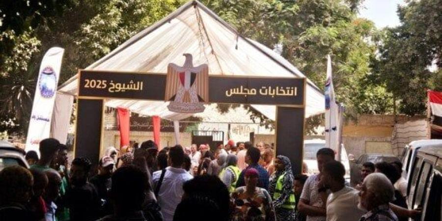 إقبال لافت للناخبين على لجان القاهرة قبل الساعات الأخيرة من إغلاق التصويت «صور» - بلس 48
