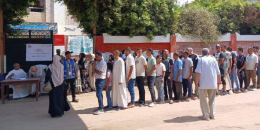 العاملون بالتربية والتعليم بالغربية يشاركون فى انتخابات الشيوخ بطنطا - بلس 48
